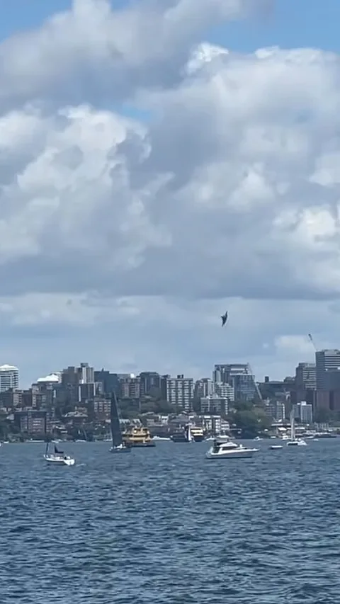 Sydney Harbour skyline with Harbour Bridge for Plinko Australia guide