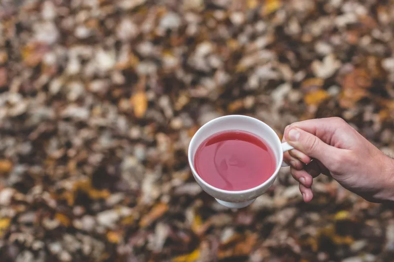 Hand holding a warm cup of tea above blurred autumn leaves
